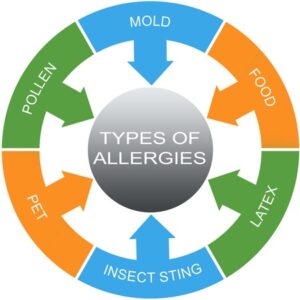 Allergy testing image, listing what allergies can be tested